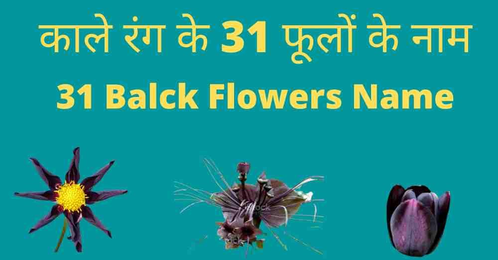 Black Flowers Name