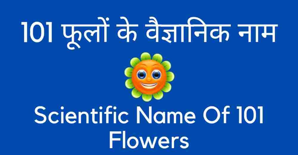 Flowers Scientific Name