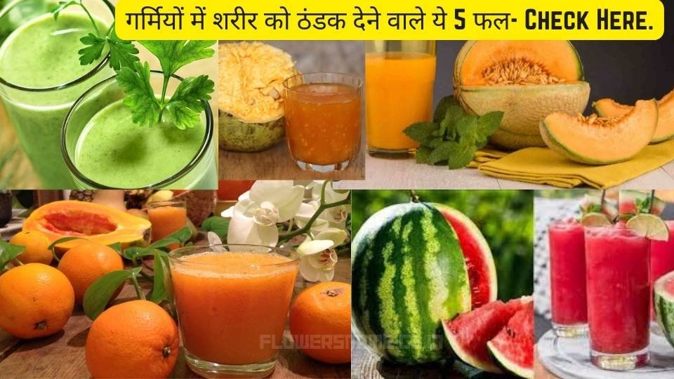 गर्मियों में शरीर को ठंडक देने वाले ये 5 फल- Check Here.