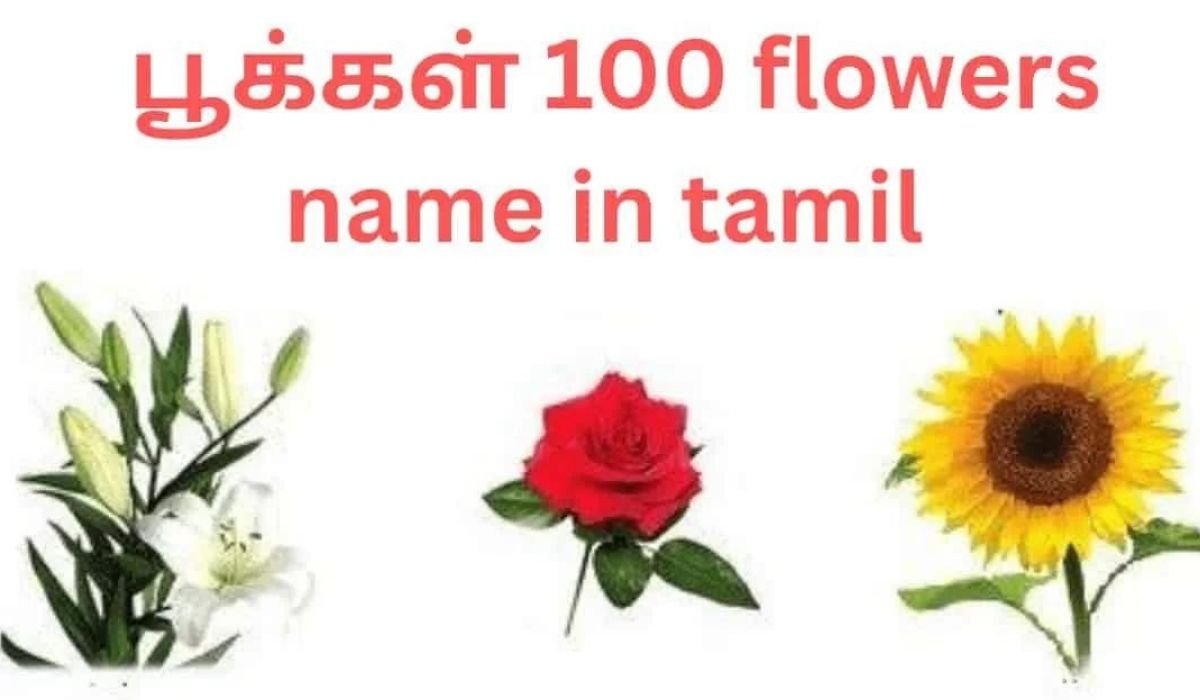"100 flower names in Tamil that will blow your mind!"