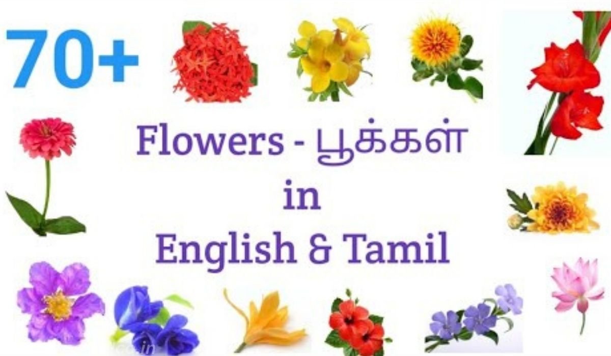 Unveiling the Magical Secrets of flowers name in English and Tamil :
