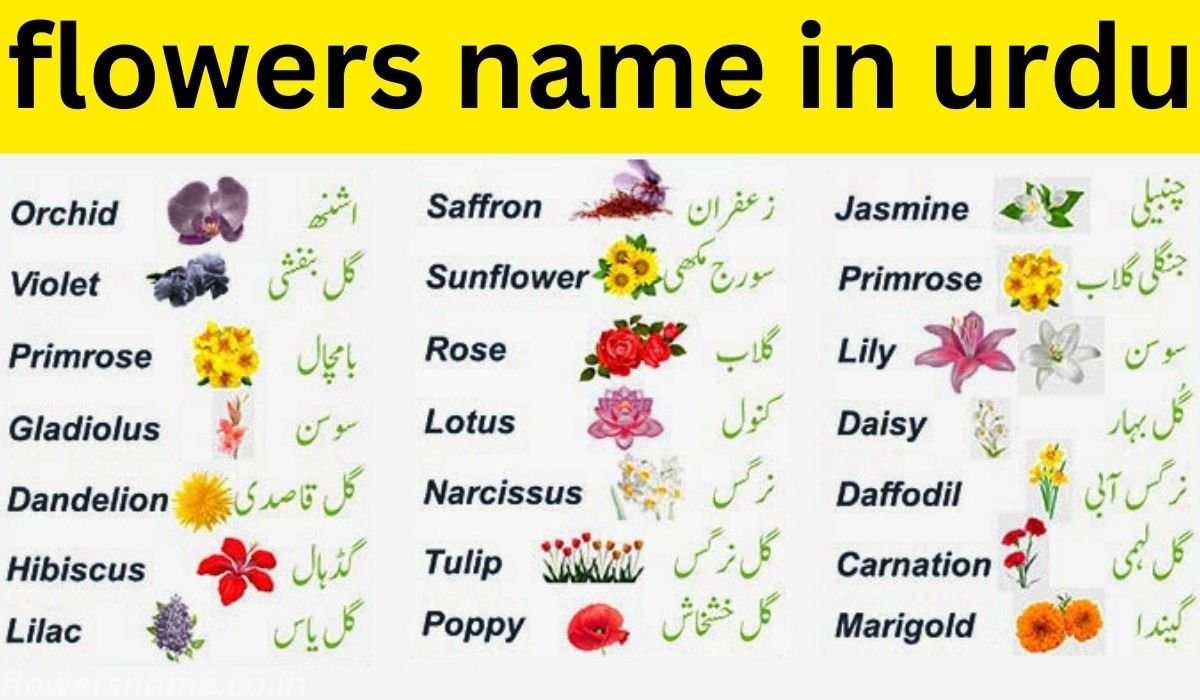 "flowers name in urdu : जानिए फूलों की दुनिया के राज़ को!"